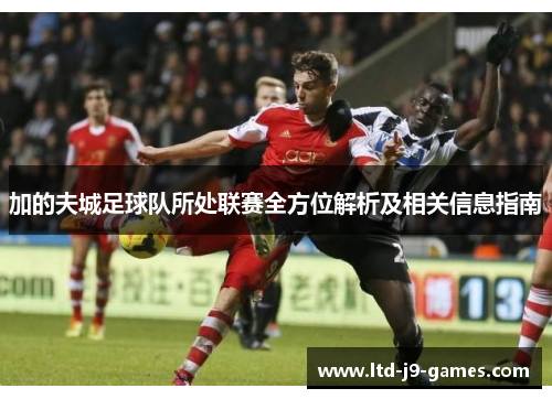 加的夫城足球队所处联赛全方位解析及相关信息指南 加的夫城足球队所处联赛全方位解析及相关信息指南