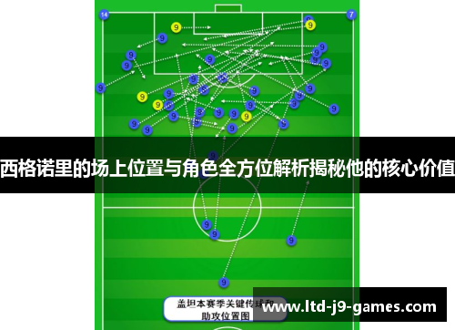 西格诺里的场上位置与角色全方位解析揭秘他的核心价值